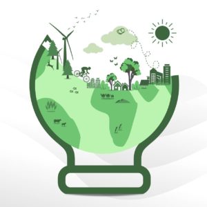 circular economy packaging materials sustainability 